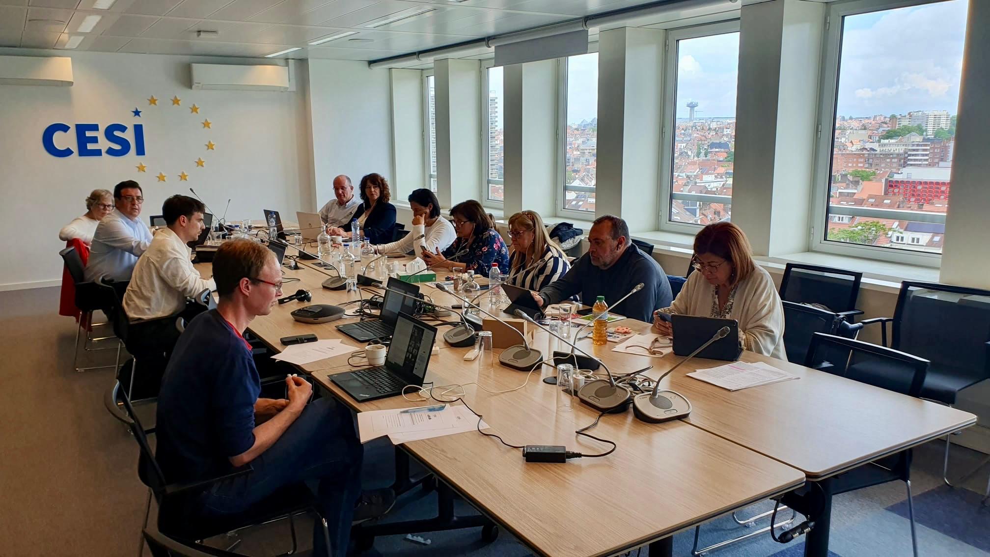 Valorian participa en la reunión de las comisiones de derechos de las mujeres e igualdad de género y de empleo y asuntos sociales