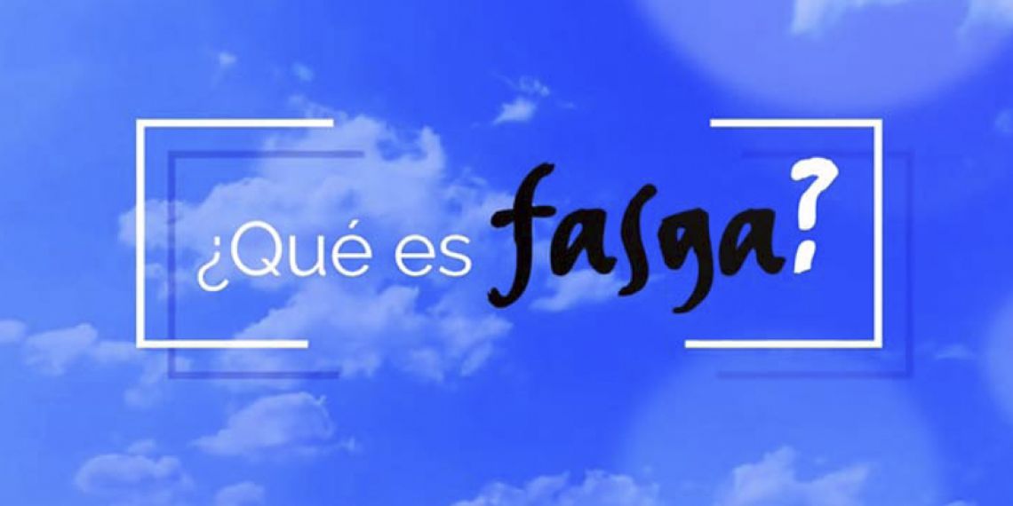 RESUMEN DEL XI CONGRESO ESTATAL DE FASGA