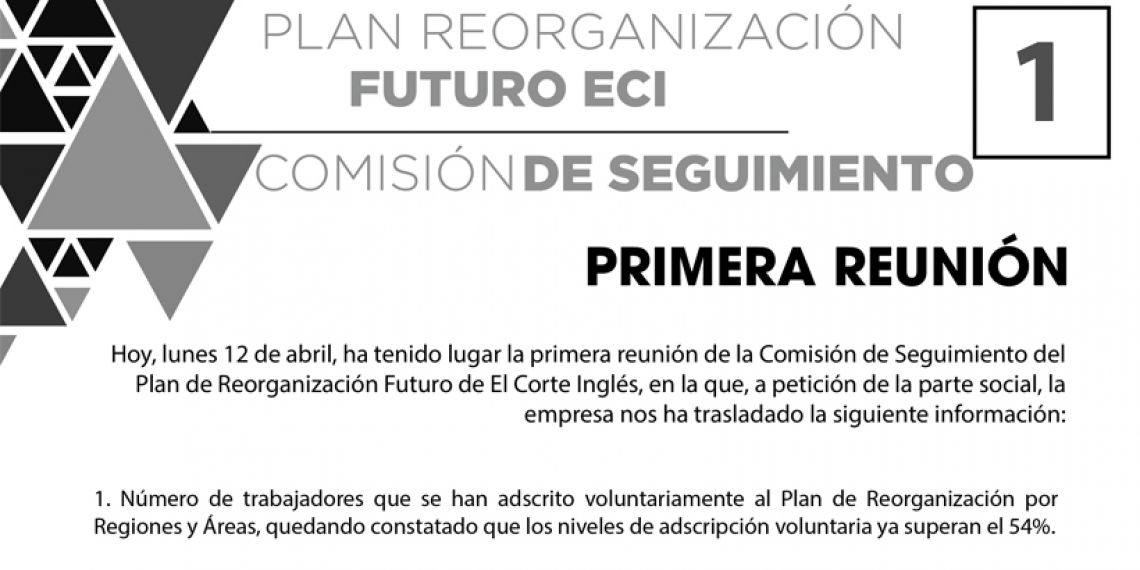 PLAN REORGANIZACIÓN FUTURO ECI COMISIÓN DE SEGUIMIENTO