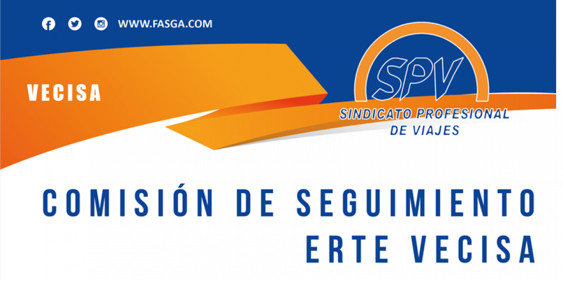 COMISIÓN DE SEGUIMIENTO ERTE VECISA