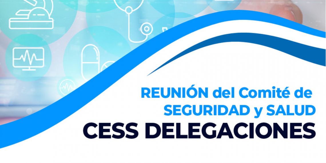 REUNIÓN DEL COMITÉ DE SEGURIDAD y SALUD CESS DELEGACIONES