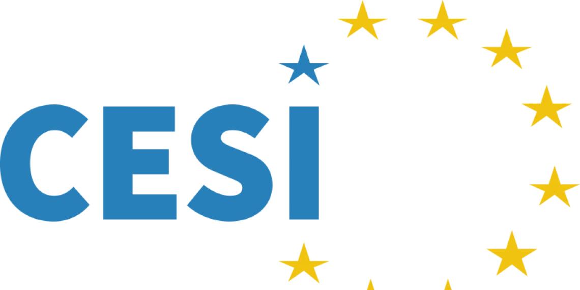 FASGA, en las Comisiones de Empleo y Asuntos Sociales y Derechos de Mujer e Igualdad de CESI