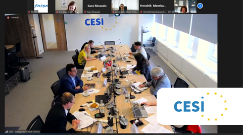 Fasga participa en la reunión de la CESI