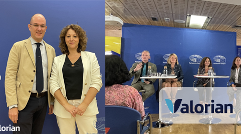 Seminario del Parlamento Europeo