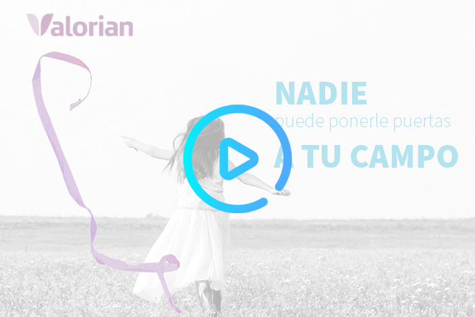 Compromiso con la Violencia de Género