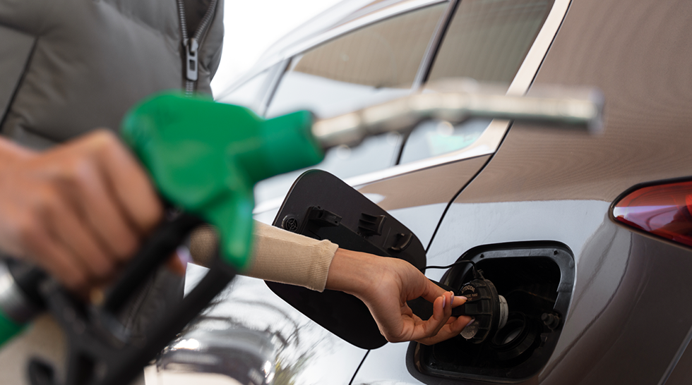 COMITÉ INTERCENTROS GESPEVESA