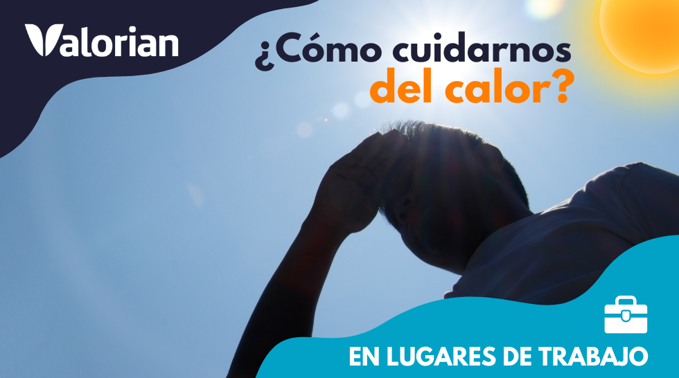 ¿Cómo cuidarnos del calor?