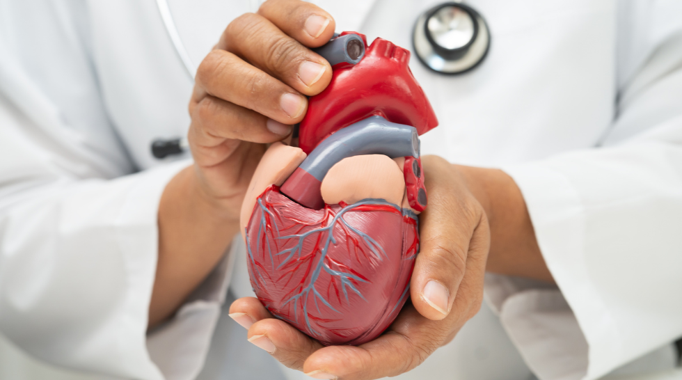 ¿Sabías que las enfermedades cardiovasculares son la principal causa de muerte por enfermedad en las mujeres en España?